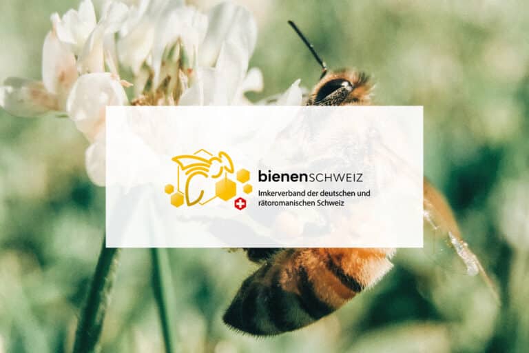 Partner BienenSchweiz: Logo, im Hintergrund ein Bild einer Biene auf einer weissen Blume