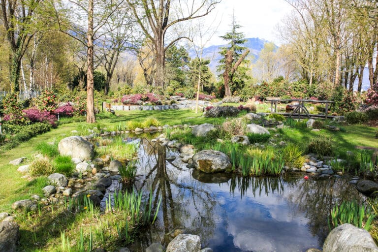 Kamelienpark: Parkanlage mit Teich, Brücke und vielen farbenfrohen Pflanzen