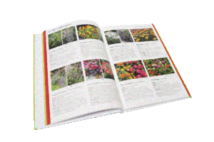 Freude am Garten Abogeschenk Topfgartenbuch