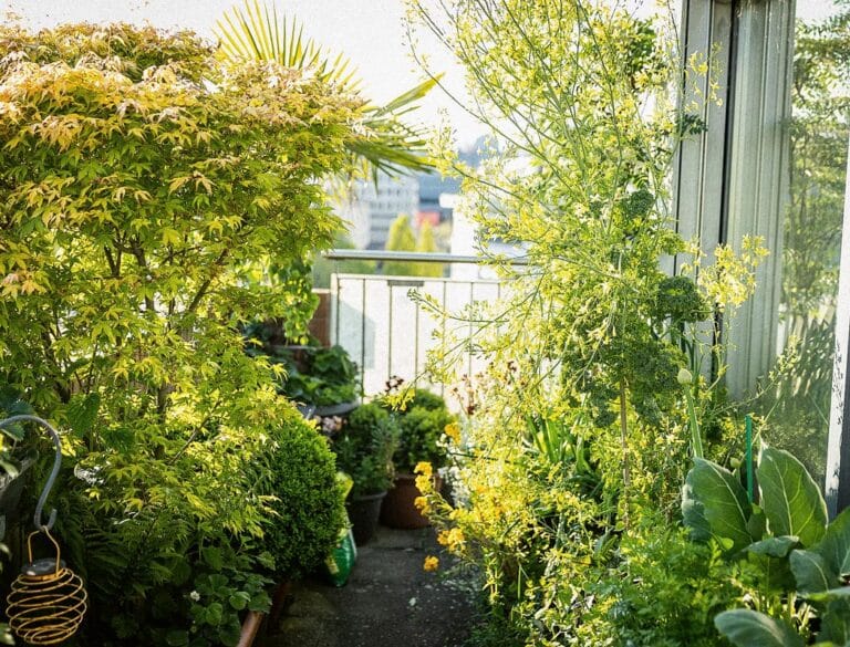 Balkongarten: Balkon mit vielen grünen Topfpflanzen