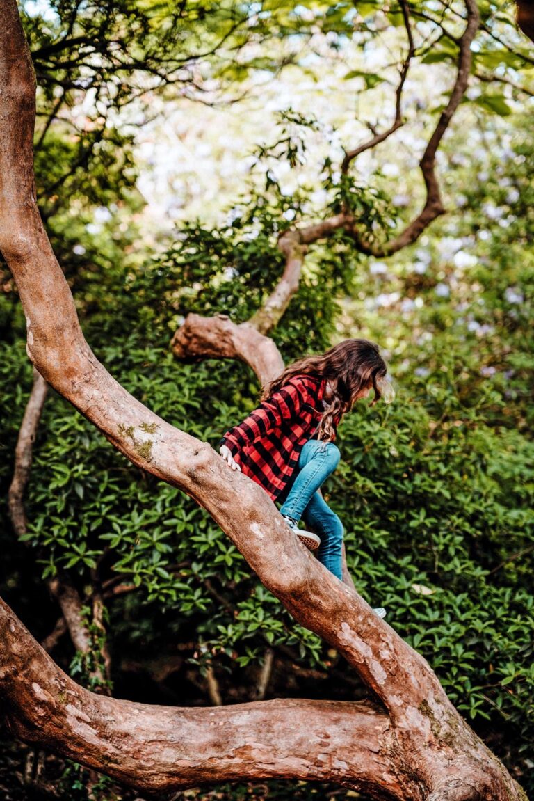 Bäume erkennen: Kind klettert auf einem Baum