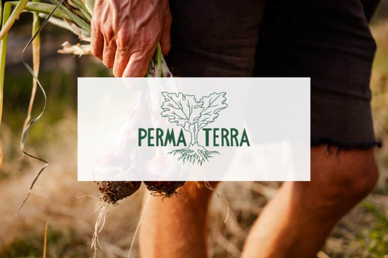 Partner PermaTerra: im Hintergrund ein Mann mit einer Pflanze