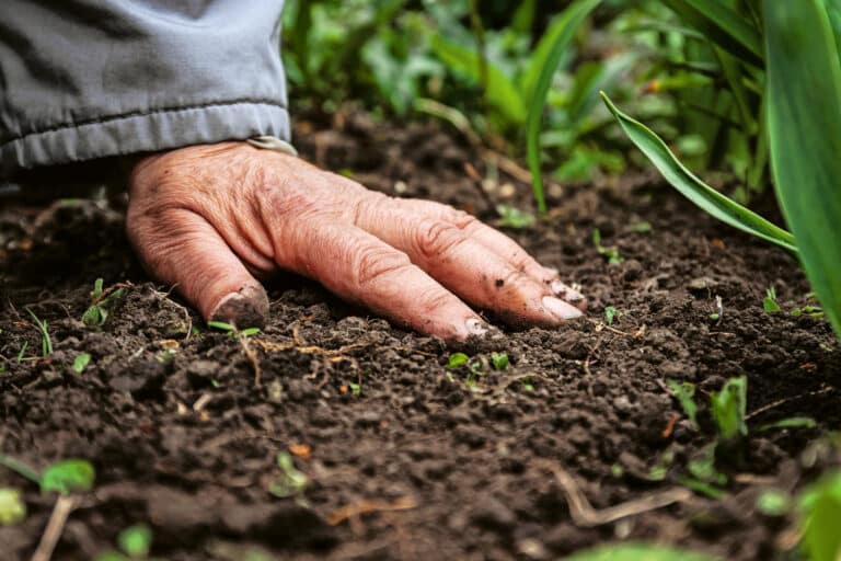 Gartenboden: Eine Hand fühlt die braune Erde durch Berühren.