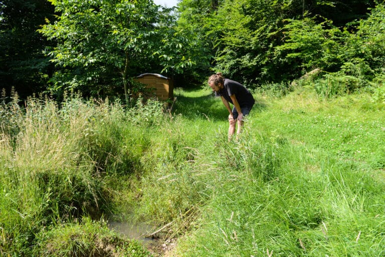 Wasser in der Permakultur: Ein Mann beobachtet die Natur in grüner Wiese