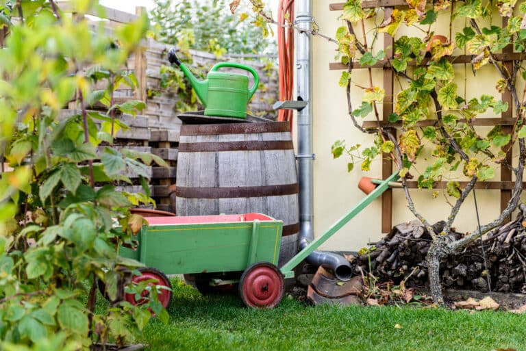 Raus in den Regen: Gartenecke mit Regenfass, Schubkarre und Pflanzen